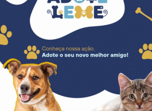 Prefeitura lança o Programa “Adote Leme”