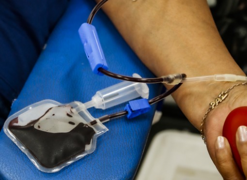 Segunda etapa do calendário de doação de sangue arrecadou 86 bolsas