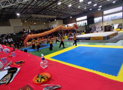 Equipe de Kung Fu Wushu de Leme conquista três medalhas de ouro em campeonato nacional