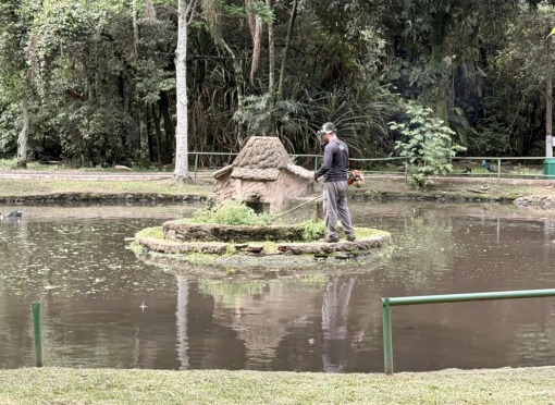 Serviços de reparo e limpeza no “Bosque” continuam em ritmo forte