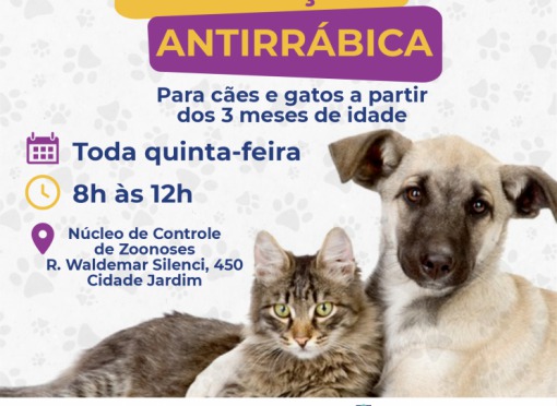 Núcleo de Zoonoses oferece vacina antirrábica para cães e gatos