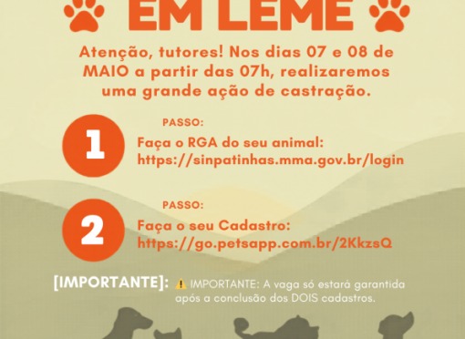 Mutirão de castração encerra programação do Abril Laranja em Leme