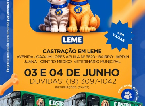 Sucesso do Abril Laranja garante mais 600 castrações gratuitas em Leme